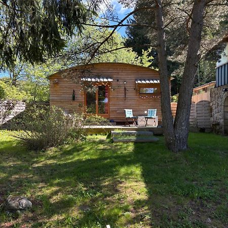 Chalet Grenouille Domaine De La Mamounette Champclause Екстериор снимка