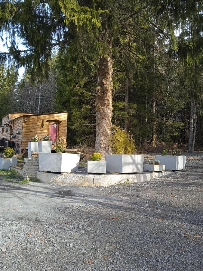 Chalet Grenouille Domaine De La Mamounette Champclause Екстериор снимка