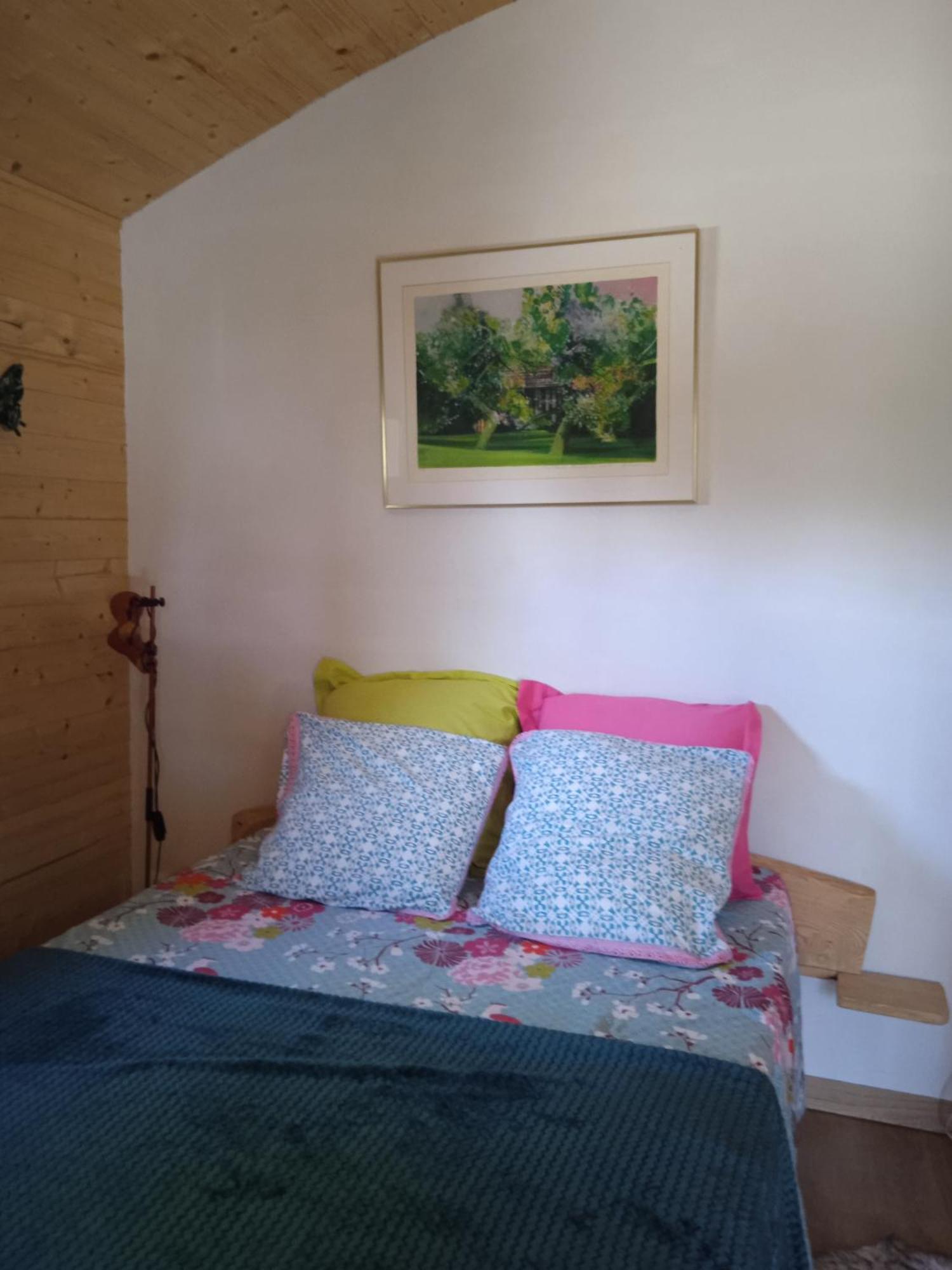 Chalet Grenouille Domaine De La Mamounette Champclause Екстериор снимка