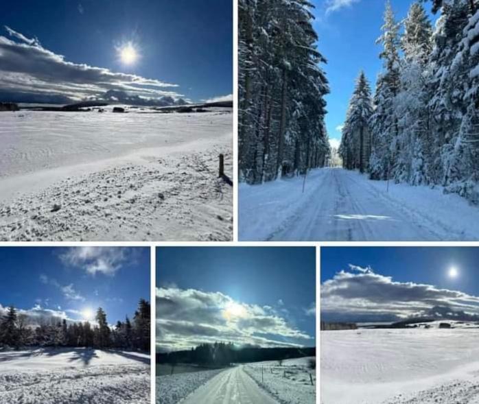 Chalet Grenouille Domaine De La Mamounette Champclause Екстериор снимка
