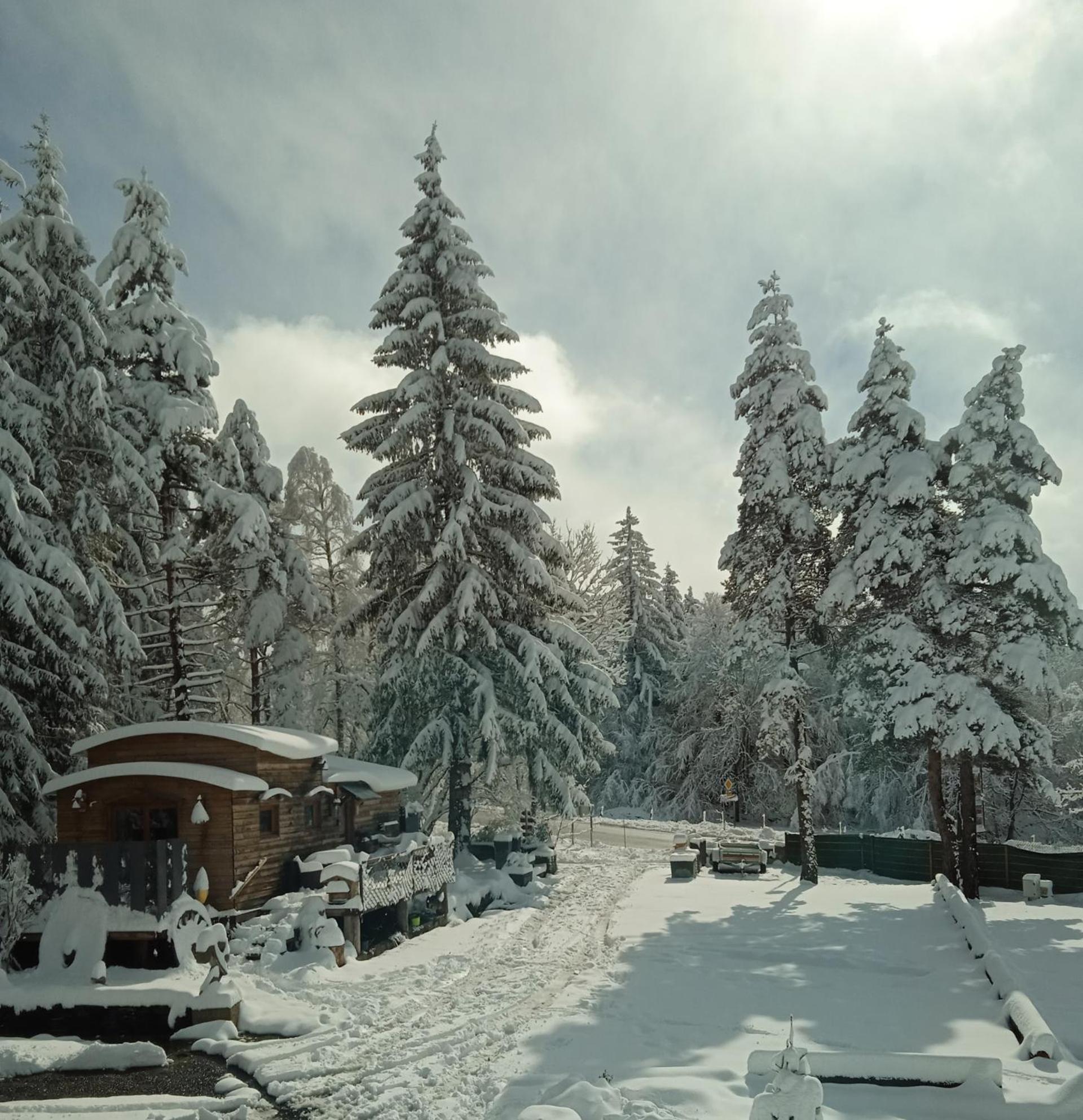 Chalet Grenouille Domaine De La Mamounette Champclause Екстериор снимка