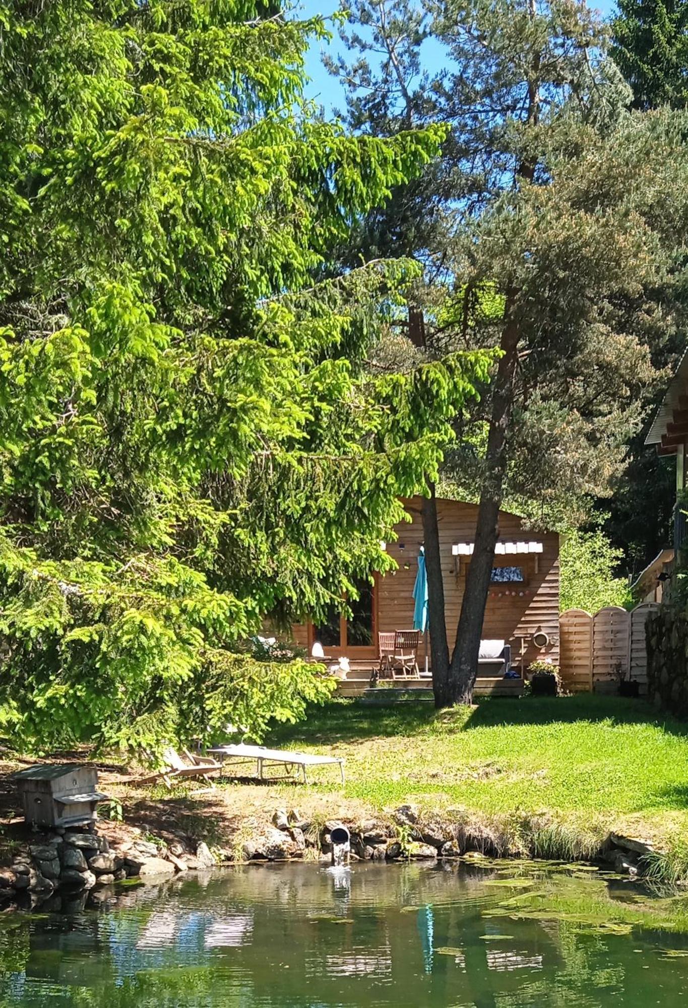 Chalet Grenouille Domaine De La Mamounette Champclause Екстериор снимка