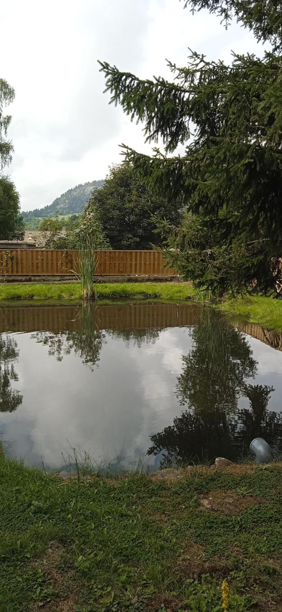 Chalet Grenouille Domaine De La Mamounette Champclause Екстериор снимка
