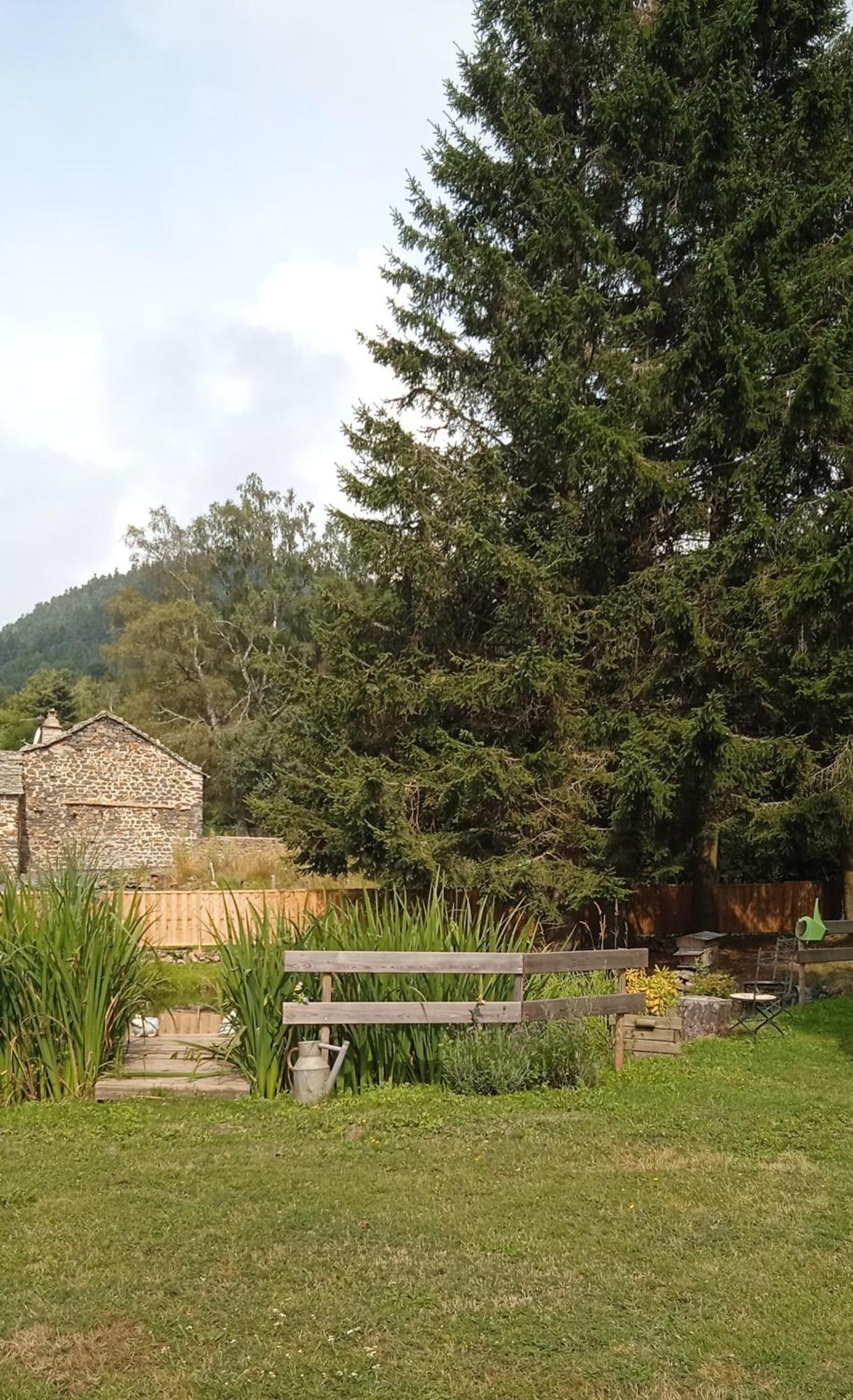 Chalet Grenouille Domaine De La Mamounette Champclause Екстериор снимка